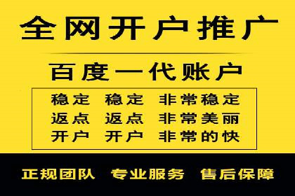 某企业SEM广告投放的ROI提升之路